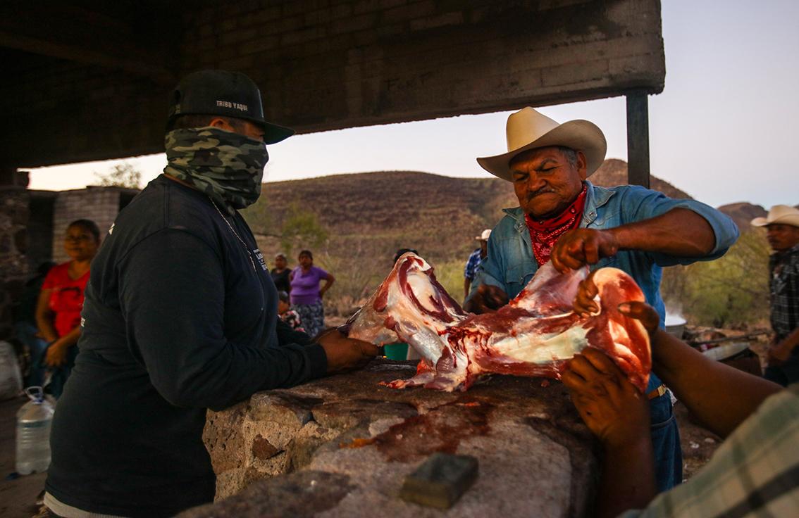 Pueblo Yaqui recupera la Danza del Coyote, un símbolo de triunfo $!Pueblo Yaqui recupera la Danza del Coyote, un símbolo de triunfo