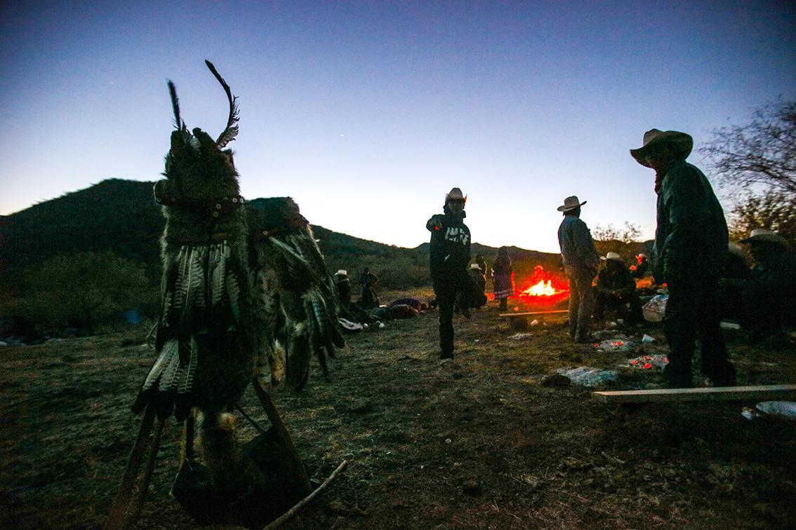 Pueblo Yaqui recupera la Danza del Coyote, un símbolo de triunfo $!Pueblo Yaqui recupera la Danza del Coyote, un símbolo de triunfo