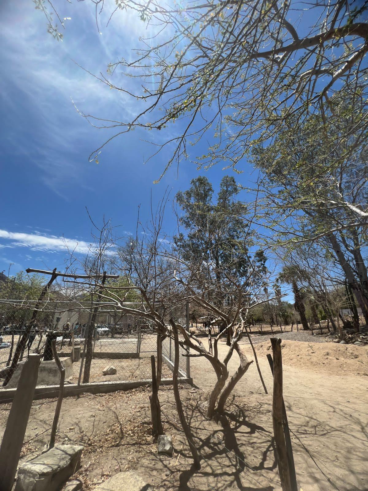A la sierra de Choix los maestros no han acudido a dar clases por la violencia $!A la sierra de Choix los maestros no han acudido a dar clases por la violencia