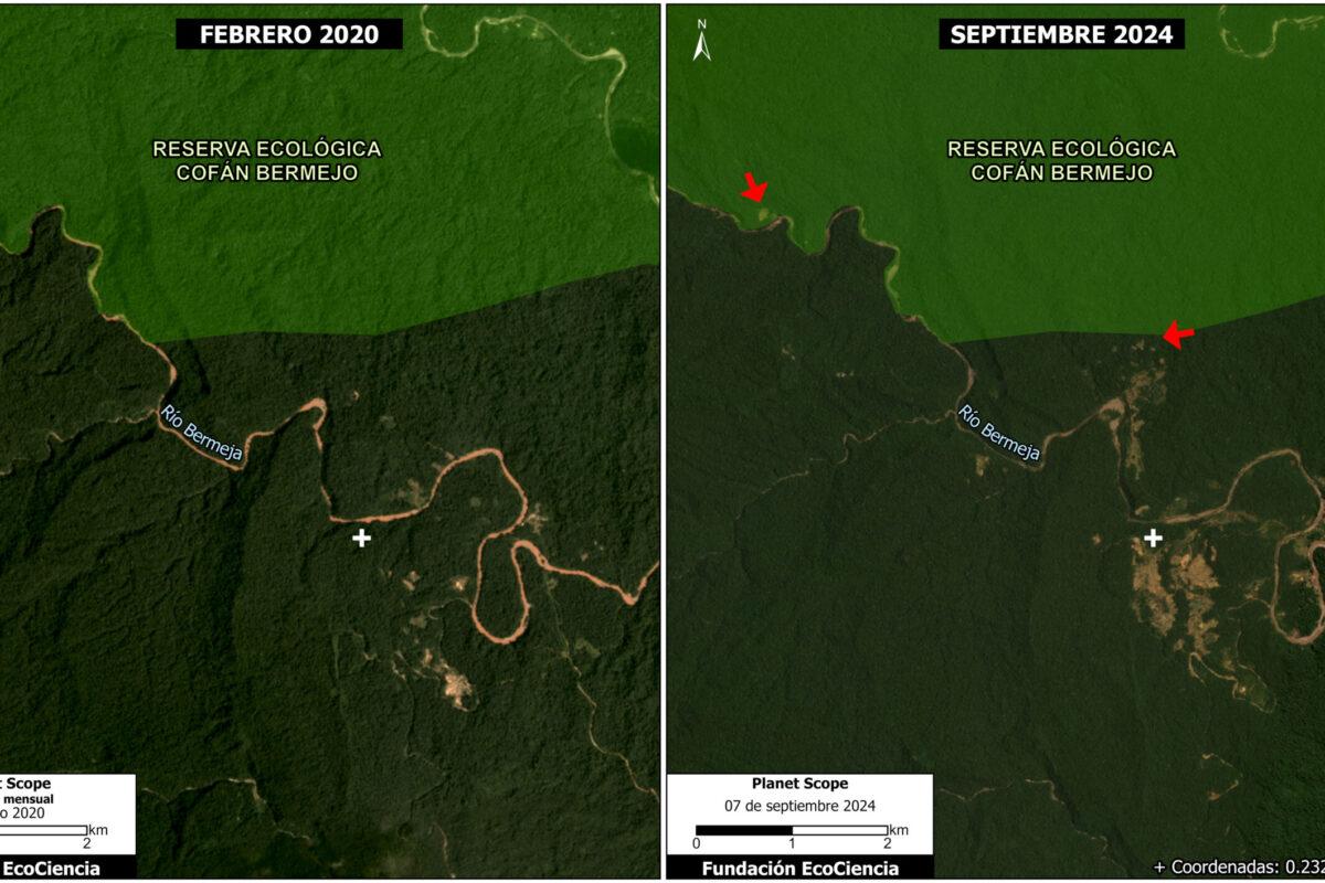Deforestación minera en la Reserva Ecológica Cofán Bermejo. $!Deforestación minera en la Reserva Ecológica Cofán Bermejo.
