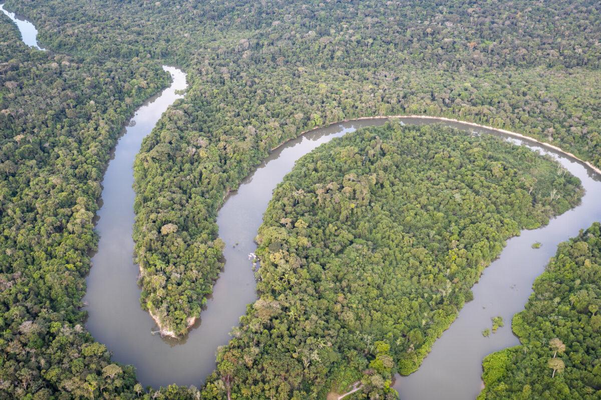 La Amazonía es una región prioritaria para conservar y también uno de los lugares más peligrosos para los defensores. $!La Amazonía es una región prioritaria para conservar y también uno de los lugares más peligrosos para los defensores.
