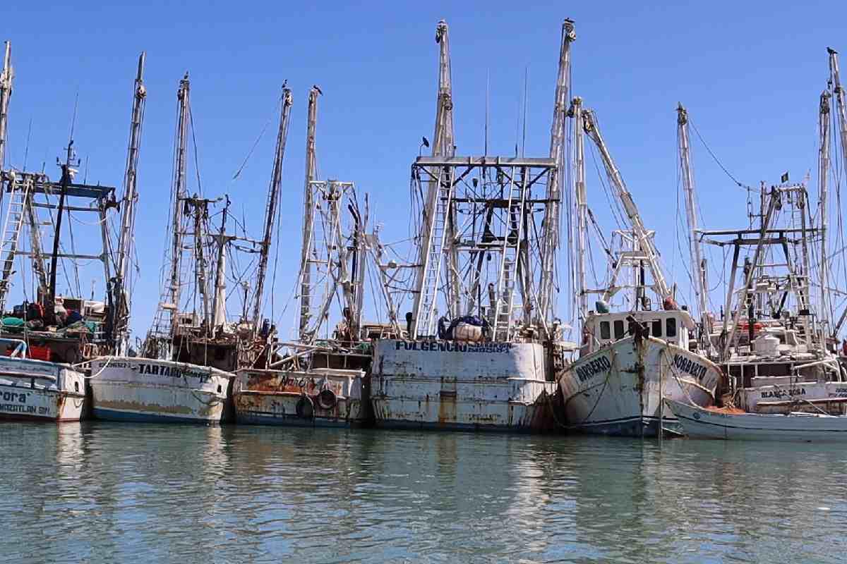 Barcos pesqueros en el muelle de San Felipe, Baja California sitio donde se realiza la revisión de pangas y documentos antes de ingresar al mar para pescar. $!Barcos pesqueros en el muelle de San Felipe, Baja California sitio donde se realiza la revisión de pangas y documentos antes de ingresar al mar para pescar.