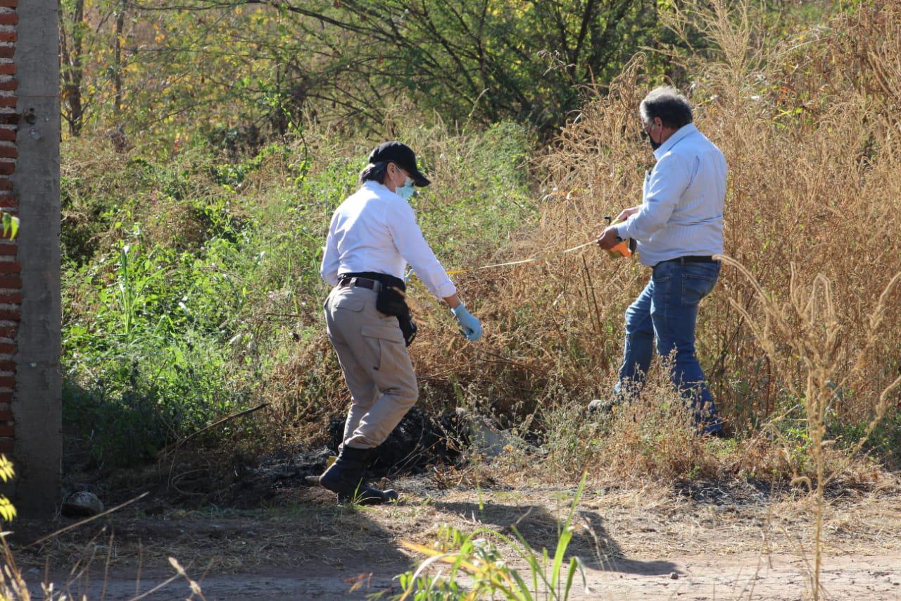 Foto: Noroeste $!Foto: Noroeste