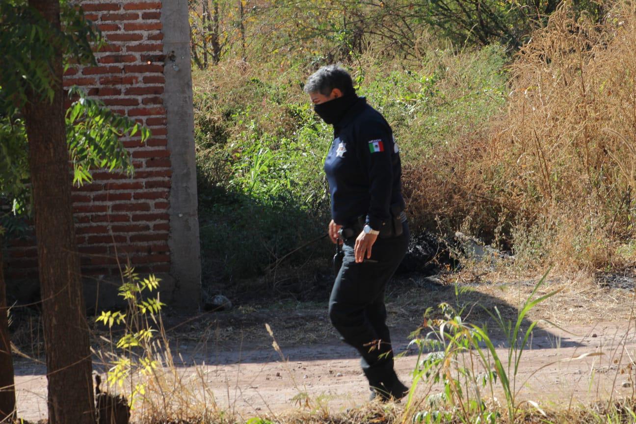 Foto: Noroeste $!Foto: Noroeste