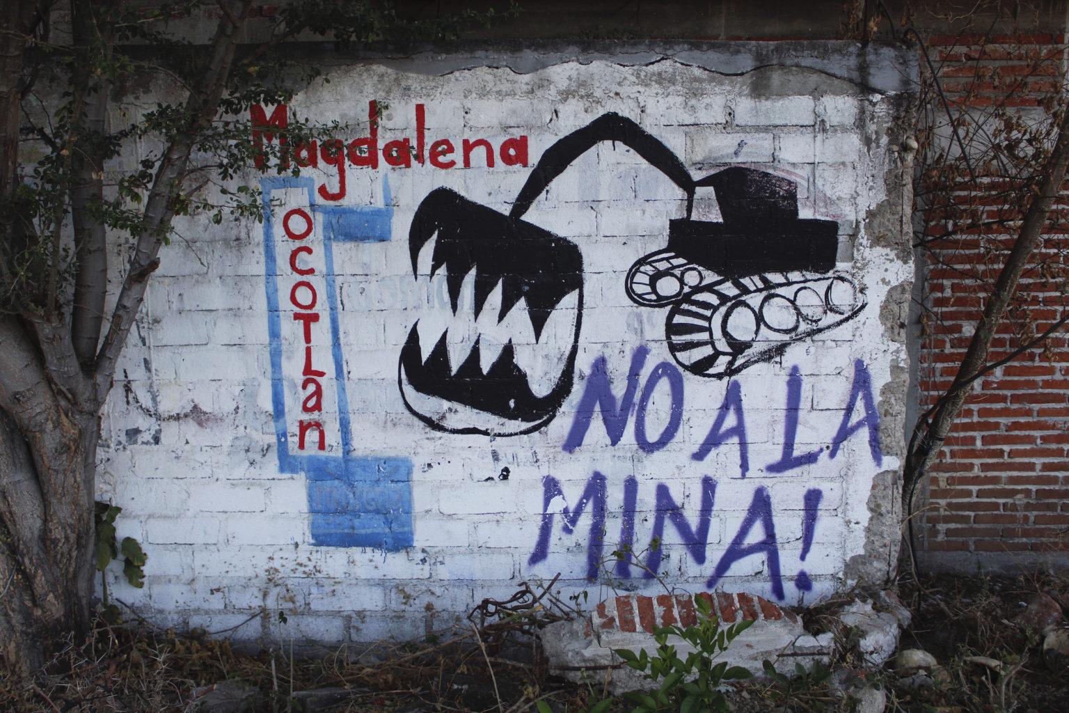 Se convierte el 2022 en uno de los años más violentos para ambientalistas $!Se convierte el 2022 en uno de los años más violentos para ambientalistas