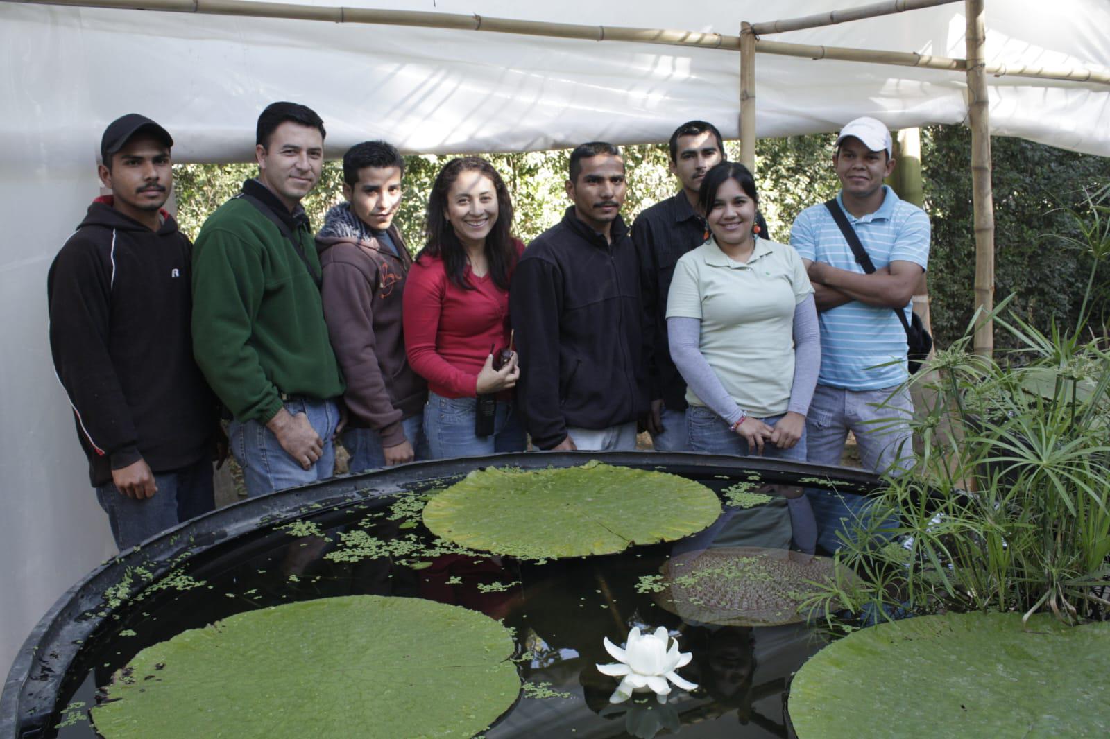 Exhíbe Jardín Botánico la planta acuática más grande del mundo $!Exhíbe Jardín Botánico la planta acuática más grande del mundo