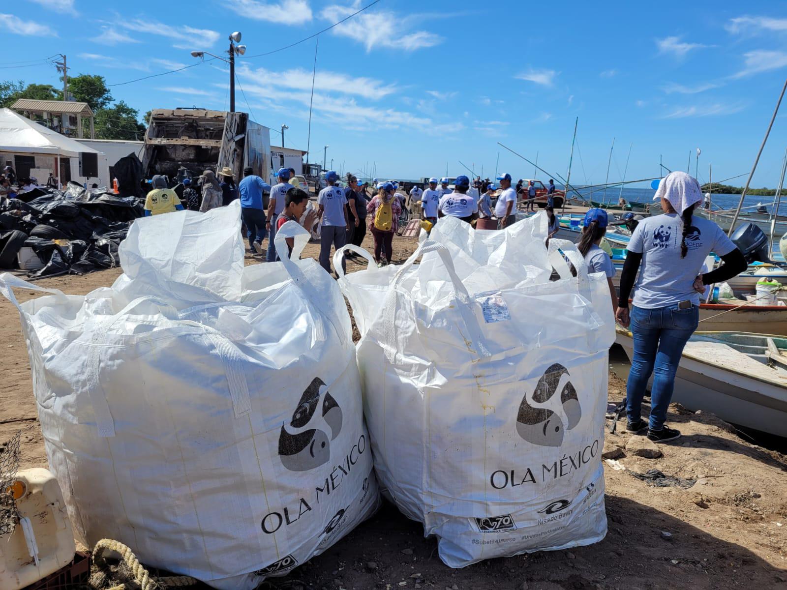 Recolectan 2.5 toneladas de plástico y artes de pesca en la bahía Santa María, en Angostura $!Recolectan 2.5 toneladas de plástico y artes de pesca en la bahía Santa María, en Angostura