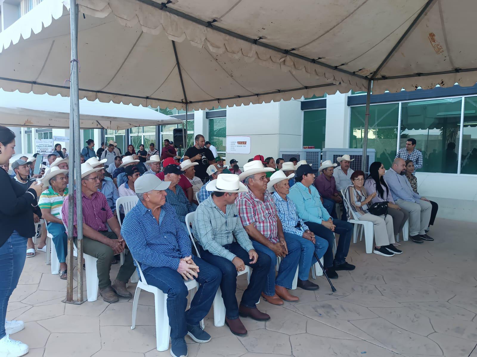 Mazatlán fortalece al sector ganadero con entrega de semilla y apoyo para mejoramiento genético $!Mazatlán fortalece al sector ganadero con entrega de semilla y apoyo para mejoramiento genético