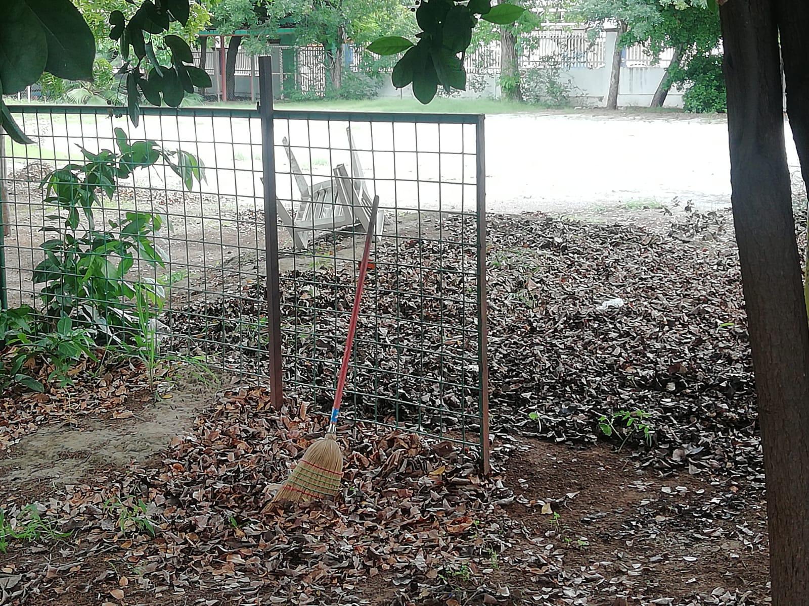 Poco avance en limpieza de escuelas en el Centro de Culiacán $!Poco avance en limpieza de escuelas en el Centro de Culiacán
