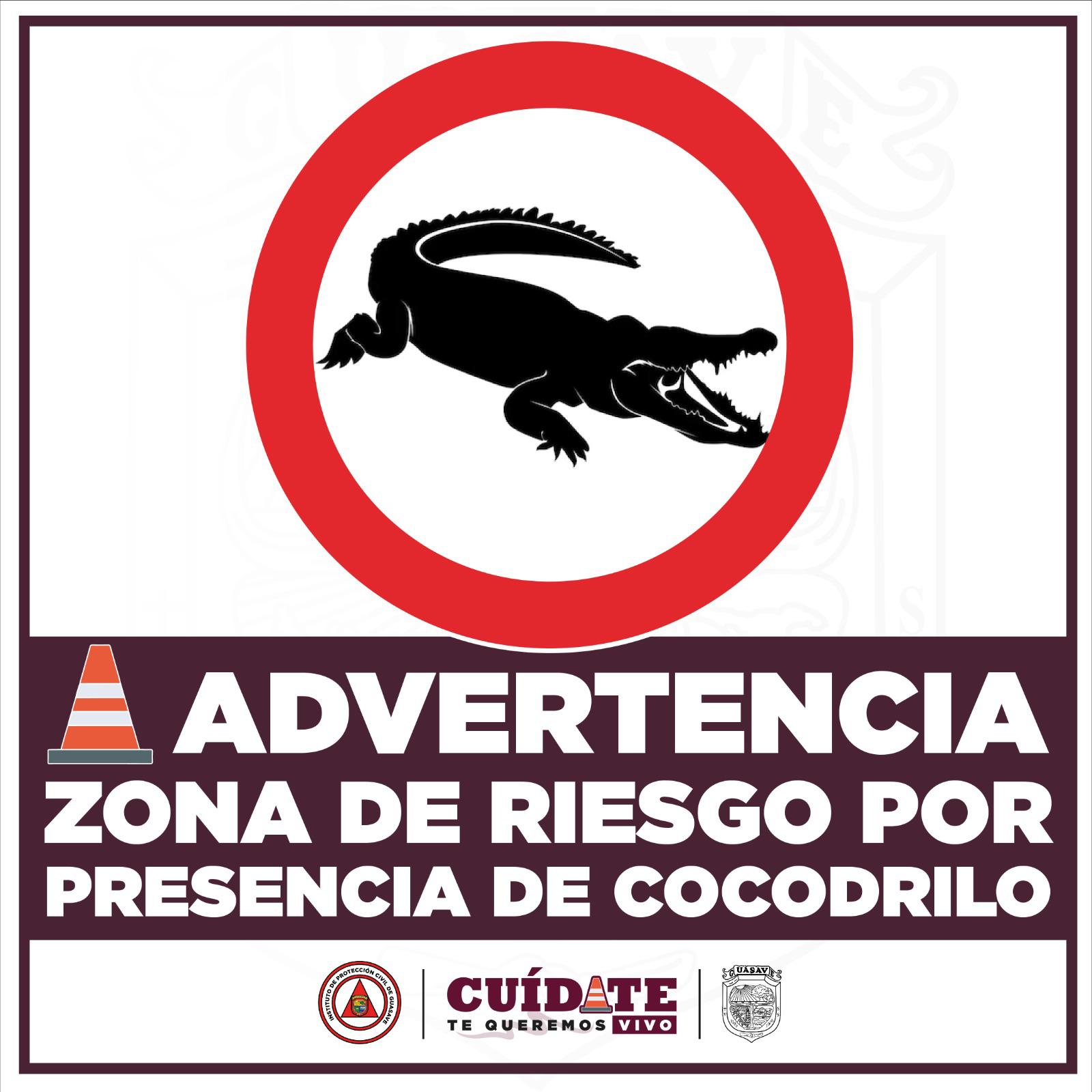 Protección Civil Guasave emite alerta preventiva por cocodrilo en la zona del río Sinaloa $!Protección Civil Guasave emite alerta preventiva por cocodrilo en la zona del río Sinaloa