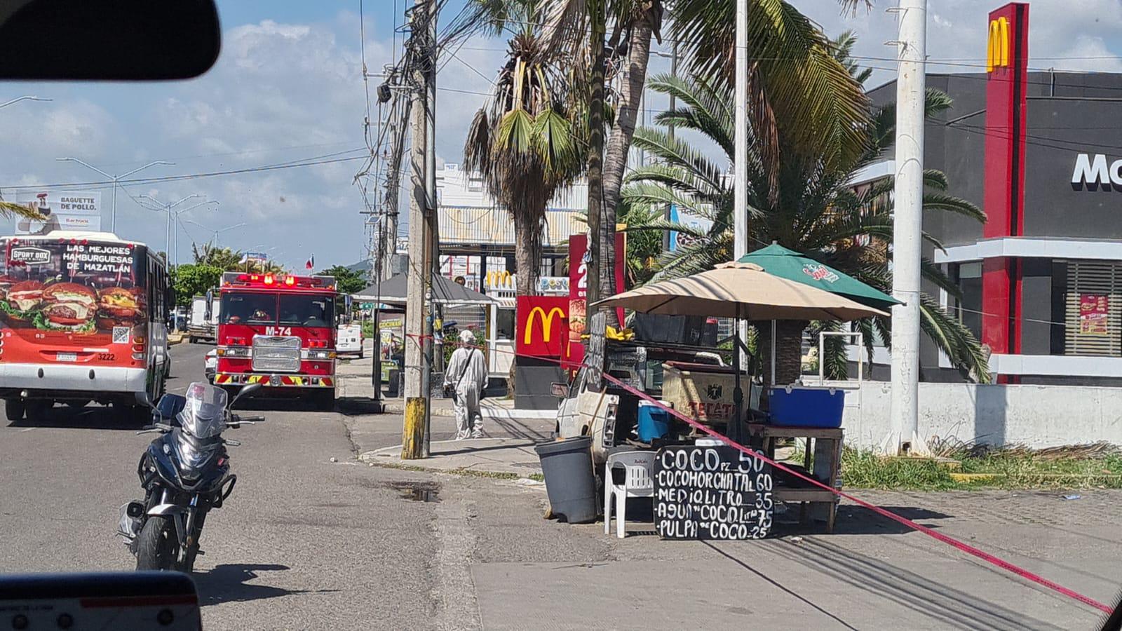 Ataque de abejas obliga a evacuar restaurante en Mazatlán; reportan cinco lesionados $!Ataque de abejas obliga a evacuar restaurante en Mazatlán; reportan cinco lesionados