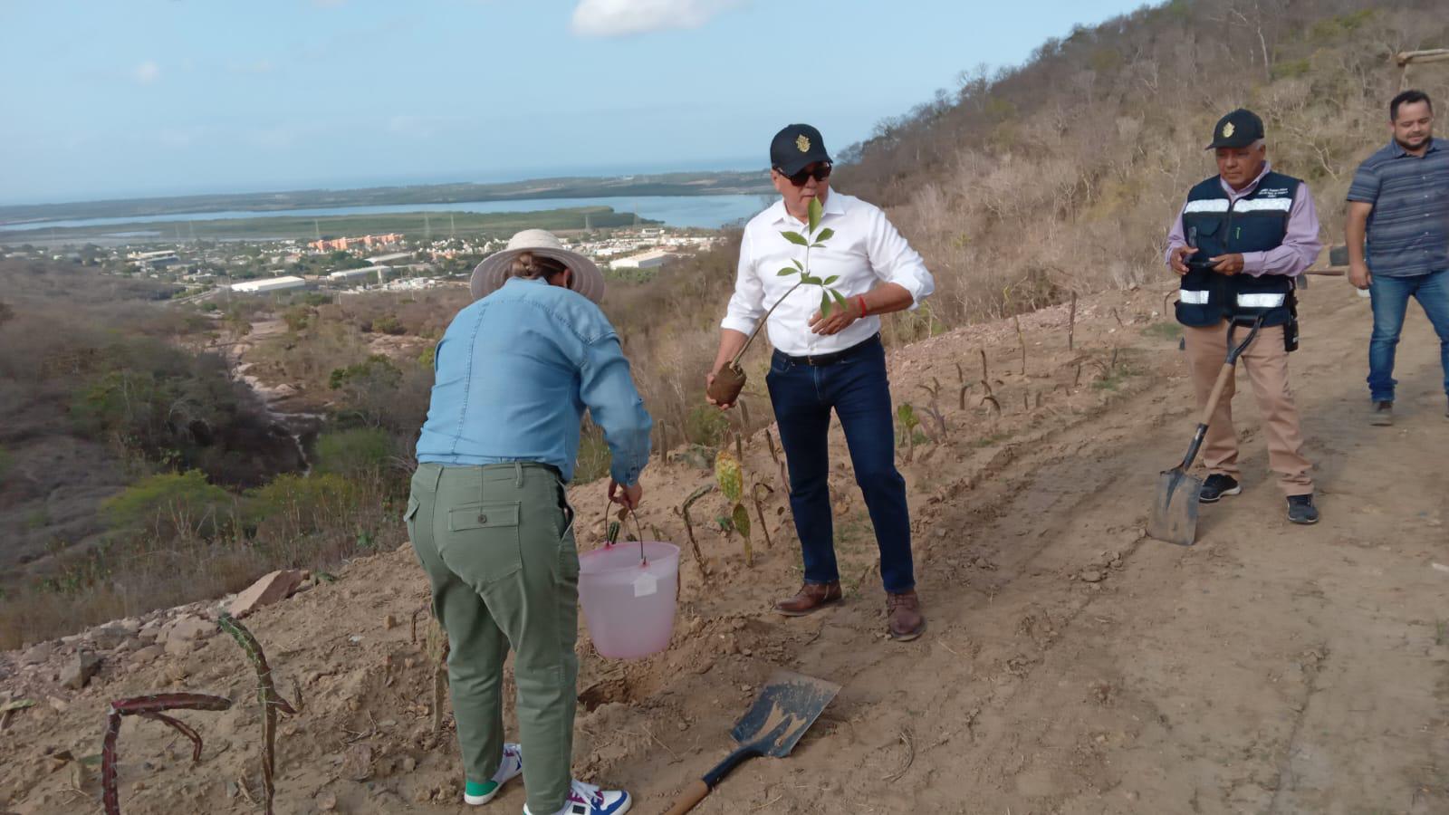 Celebran Día Mundial del Medio Ambiente con reforestación en área cerrada del Basurón de Mazatlán $!Celebran Día Mundial del Medio Ambiente con reforestación en área cerrada del Basurón de Mazatlán