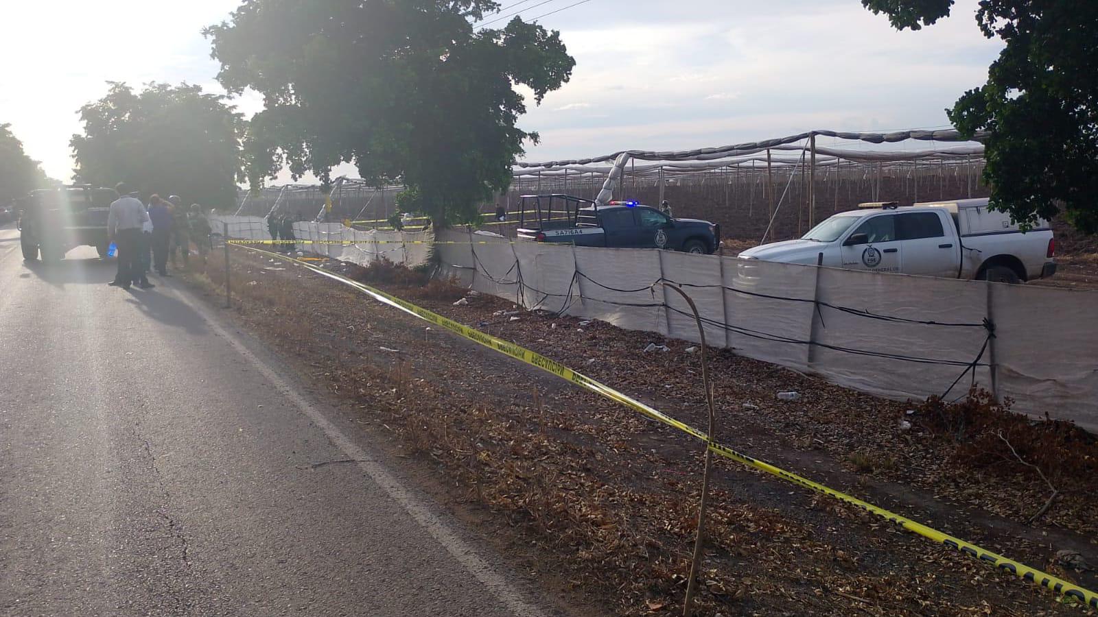 Encuentran asesinado a velador de campo agrícola de Costa Rica, al sur de Culiacán $!Encuentran asesinado a velador de campo agrícola de Costa Rica, al sur de Culiacán