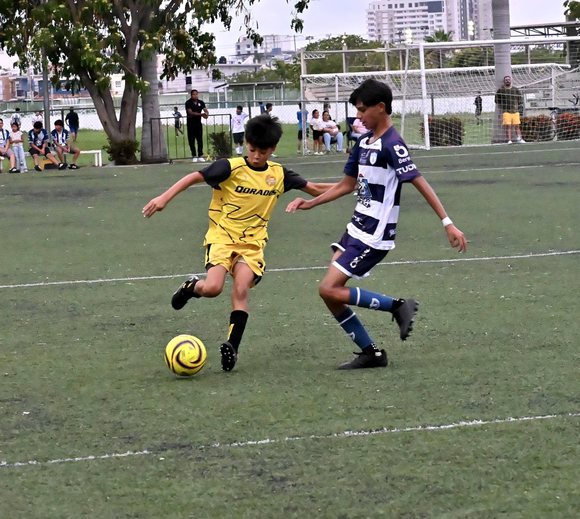 Vuela Pachuca al título de la Liga de Futbol Juvenil A $!Vuela Pachuca al título de la Liga de Futbol Juvenil A