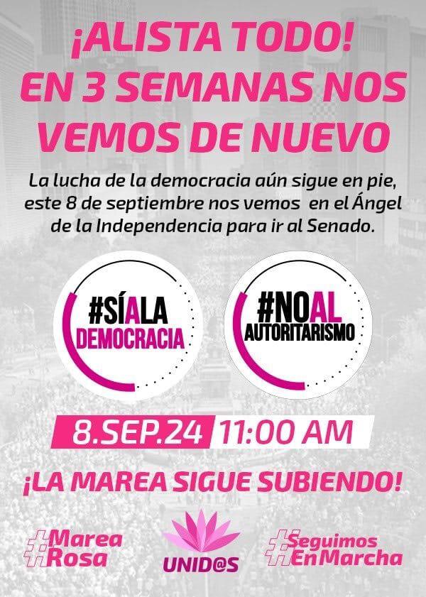 ‘Marea Rosa’ convoca el 8 de septiembre a marcha en defensa de la democracia $!‘Marea Rosa’ convoca el 8 de septiembre a marcha en defensa de la democracia