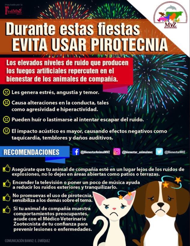 ¿Tienes mascota? Estas medidas pueden ayudarte a protegerla de la pirotecnia en las fiestas navideñas $!¿Tienes mascota? Estas medidas pueden ayudarte a protegerla de la pirotecnia en las fiestas navideñas