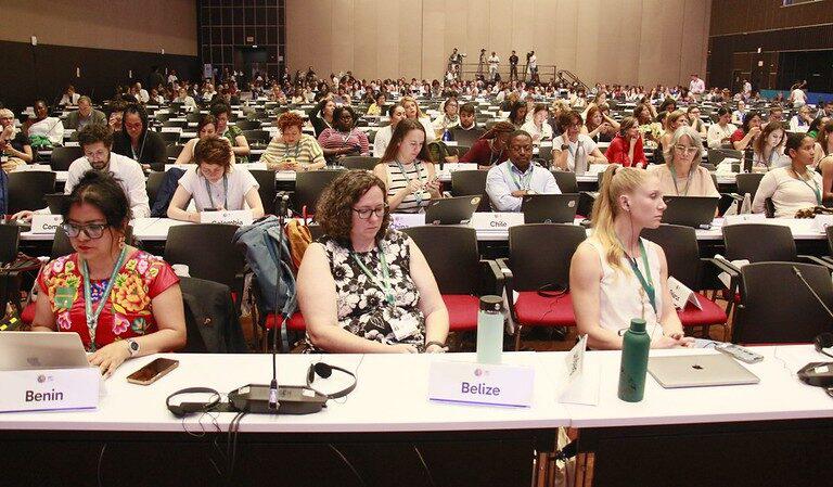 Asistentes a una de las sesiones de la COP16 dedicada al tema de la protección de los defensores de los derechos humanos ambientales. $!Asistentes a una de las sesiones de la COP16 dedicada al tema de la protección de los defensores de los derechos humanos ambientales.