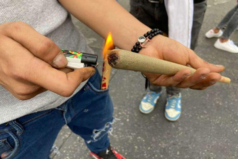 Organizaciones impulsan encuesta de consumo de cannabis para fines terapéuticos ante ausencia de voluntad política $!Organizaciones impulsan encuesta de consumo de cannabis para fines terapéuticos ante ausencia de voluntad política