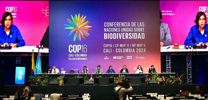 Trabajos en la COP16. $!Trabajos en la COP16.