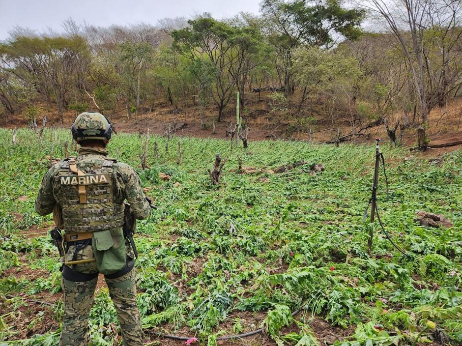 Desmantela Semar 17 laboratorios clandestinos en Sinaloa $!Desmantela Semar 17 laboratorios clandestinos en Sinaloa