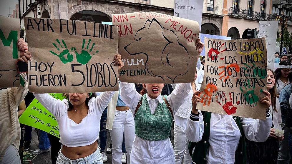 Se rebelan jóvenes de Celaya contra violencia: ‘Estamos hartos de sobrevivir’ $!Se rebelan jóvenes de Celaya contra violencia: ‘Estamos hartos de sobrevivir’