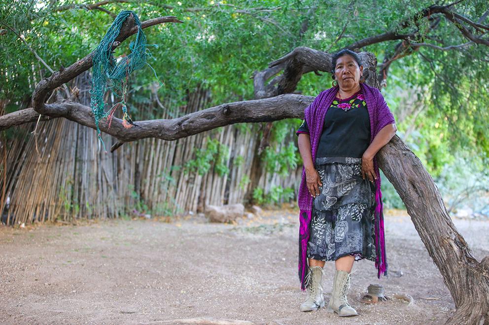 Desmontar un gasoducto y venderlo como fierro viejo: una historia de mujeres yaquis $!Desmontar un gasoducto y venderlo como fierro viejo: una historia de mujeres yaquis