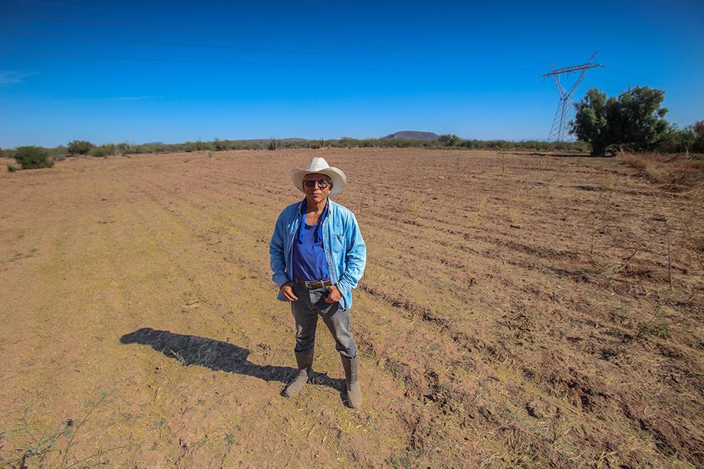 Desmontar un gasoducto y venderlo como fierro viejo: una historia de mujeres yaquis $!Desmontar un gasoducto y venderlo como fierro viejo: una historia de mujeres yaquis