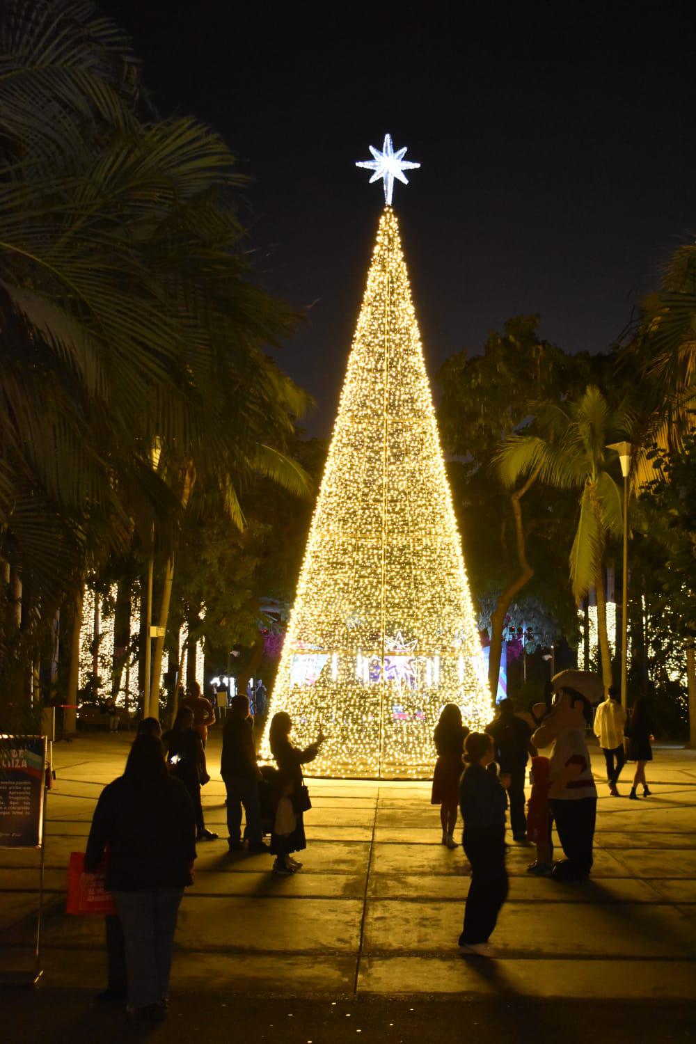 $!Encienden las luces y llega la magia de la Navidad al Botánico