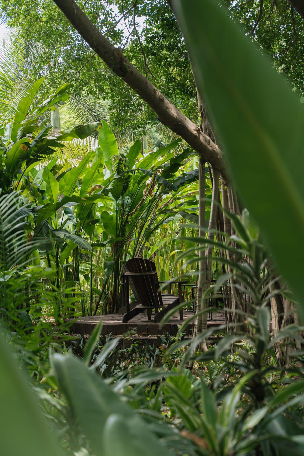 $!Jardín Botánico Culiacán cuenta con especies que forman parte de Áreas Naturales Protegidas