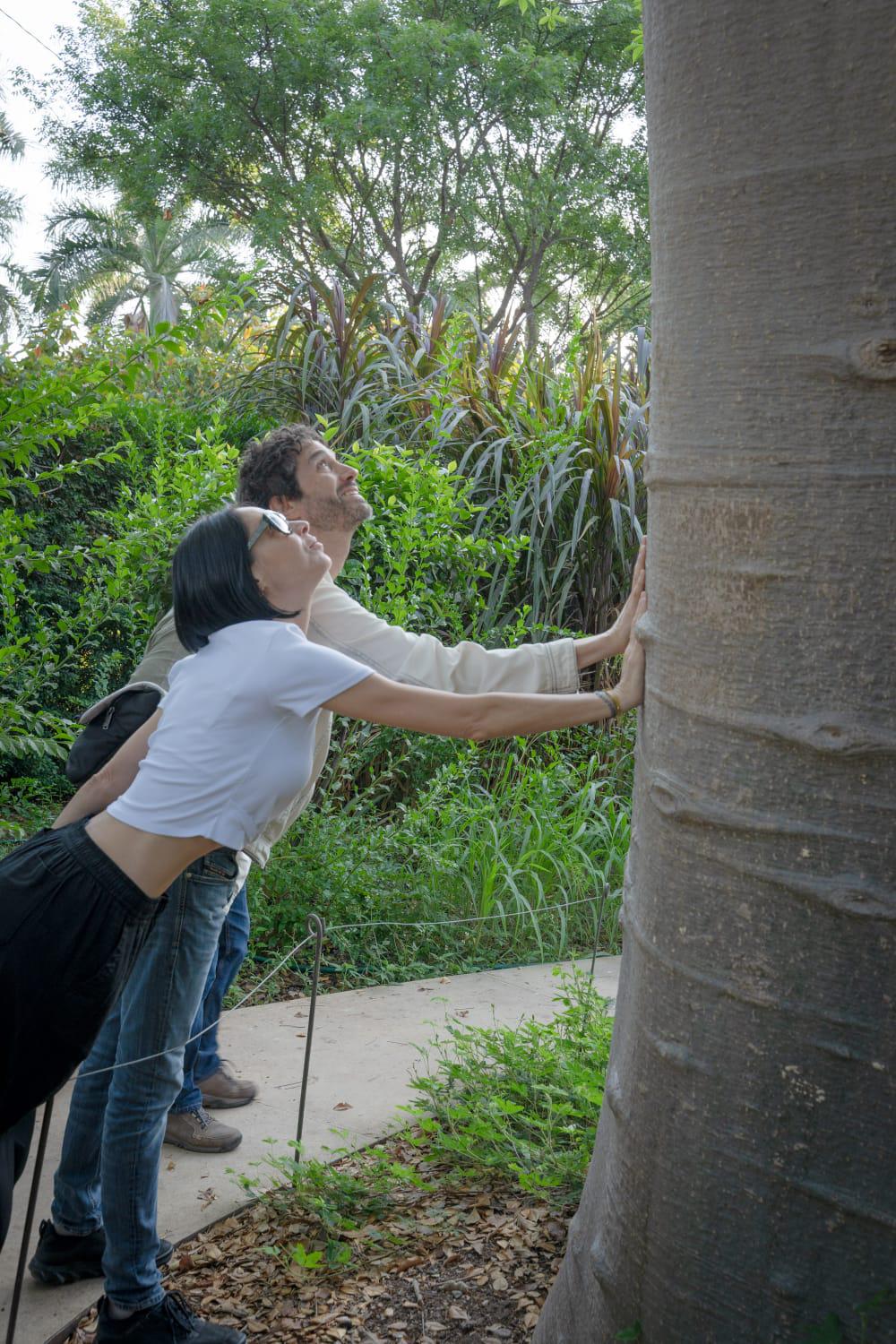 $!Recorre el actor Benny Ibarra el Jardín Botánico Culiacán