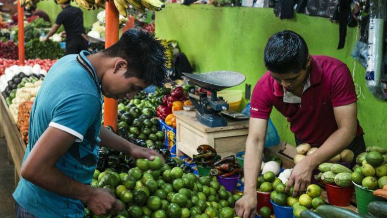 Este mercado en México vende verduras producidas por por los participantes en el Proyecto Estratégico de Seguridad Alimentaria de la FAO y la Secretaría de Agricultura, Ganadería, Desarrollo Rural, Pesca y Alimentación de México.