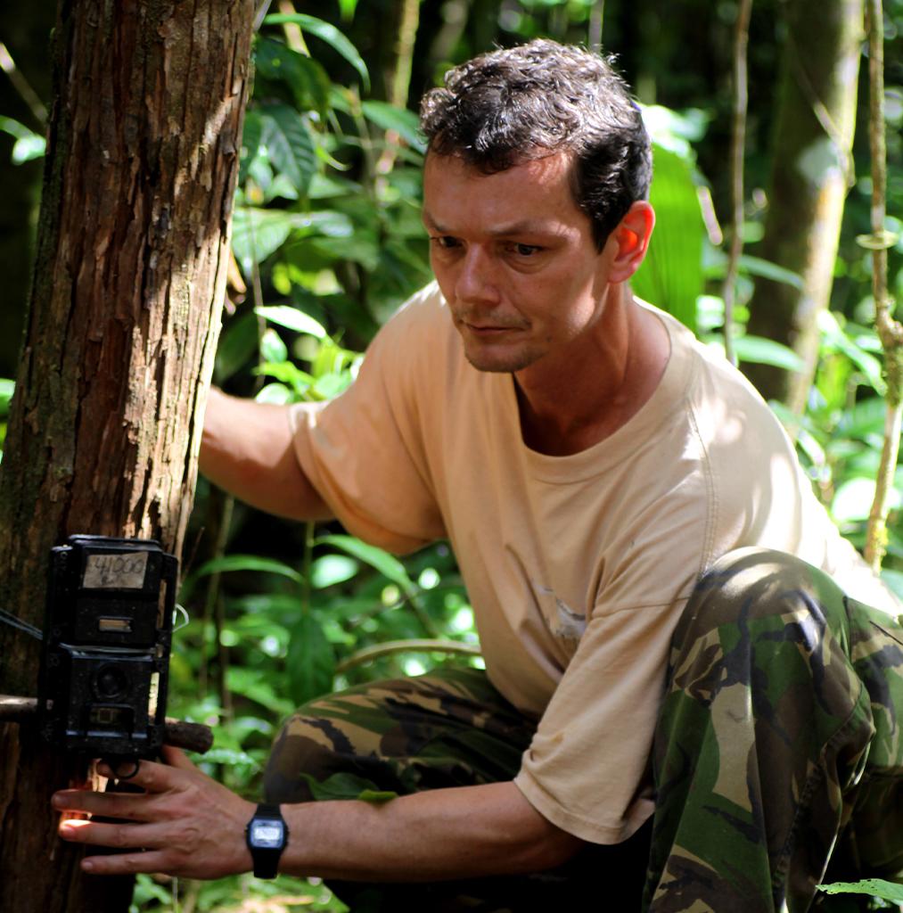 $!Bart Harmsen, director del programa Panthera en Belice, instalando cámaras trampa.