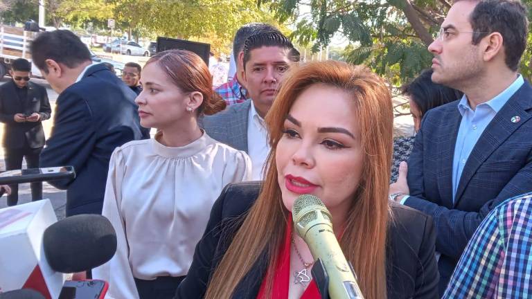 La Diputada Paola Gárate reclamó que el Estado mantiene una postura en la cual niega y minimiza los hechos de inseguridad ocurridos desde septiembre de 2024.