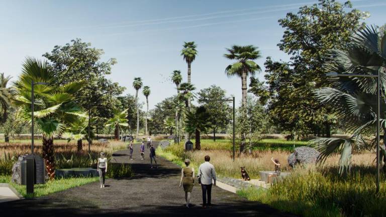 Proyecto Sendero.