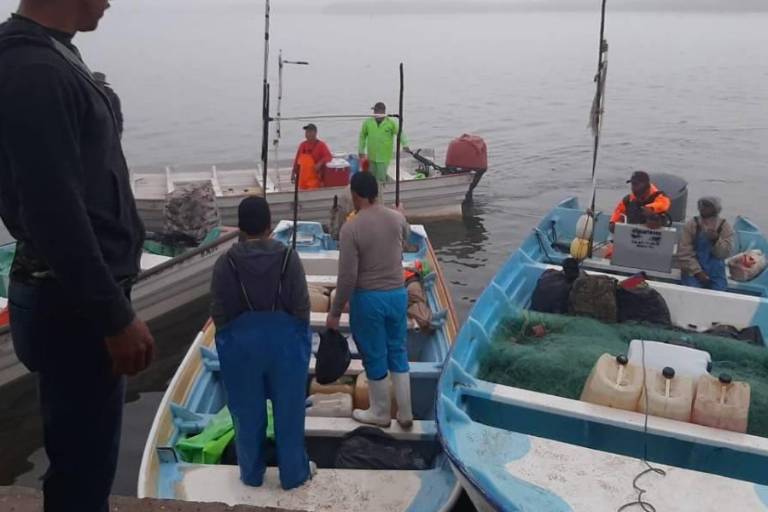 Autoridades carecen de suficientes inspectores para detectar pesca ilegal en Sinaloa, señalan
