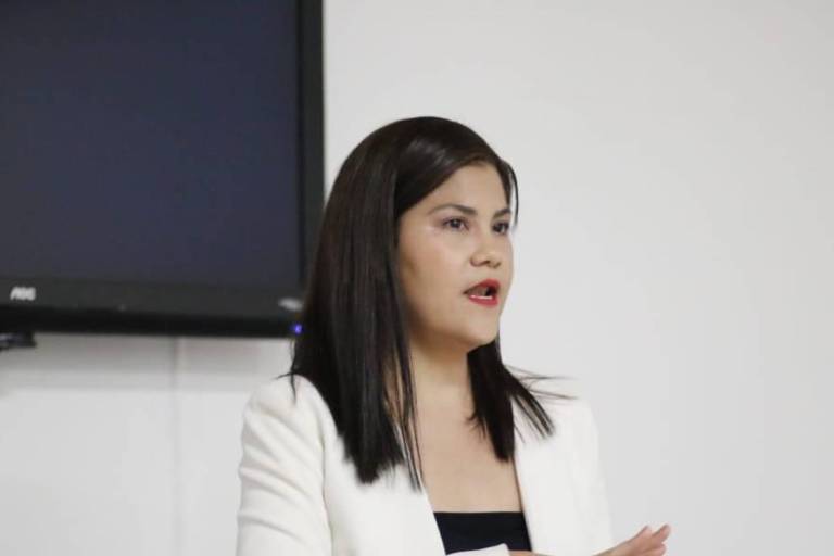 Comisionada cuestiona actuar de Fernando Ruiz en elección de terna del Sesea Sinaloa