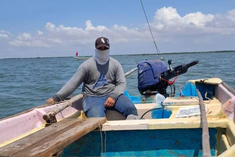 México ratifica Tratado de Alta Mar para proteger los océanos y la biodiversidad marina; entra en vigor en 2026