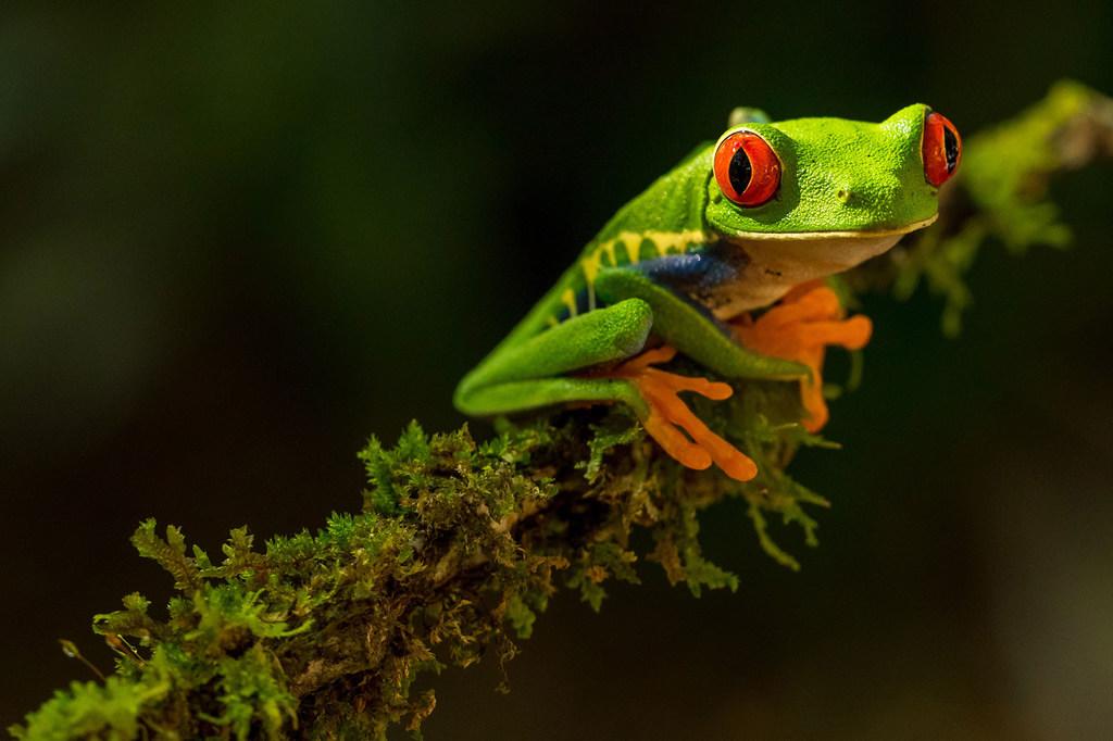 $!Llaman a la acción para afrontar el cambio climático, la pérdida de biodiversidad, la contaminación y los residuos