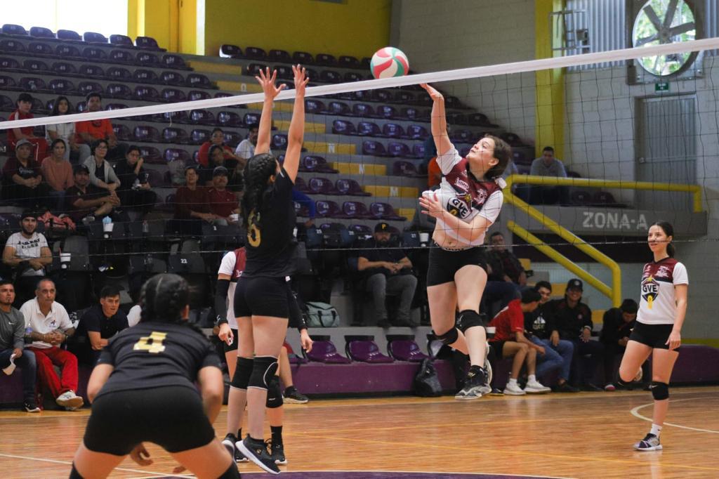 $!Guasave y Salvador Alvarado dominan el voleibol de sala y boxeo, en los zonales