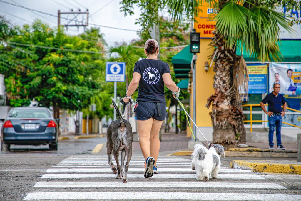 $!Llaman al respeto y la conciencia, en el Día Mundial del Peatón