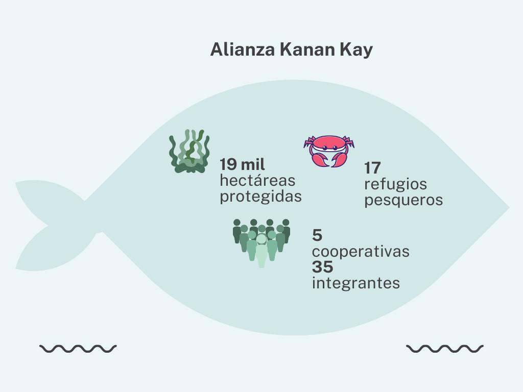$!La Alianza Kanan Kay trabaja principalmente en Yucatán, Campeche y Quintana Roo.