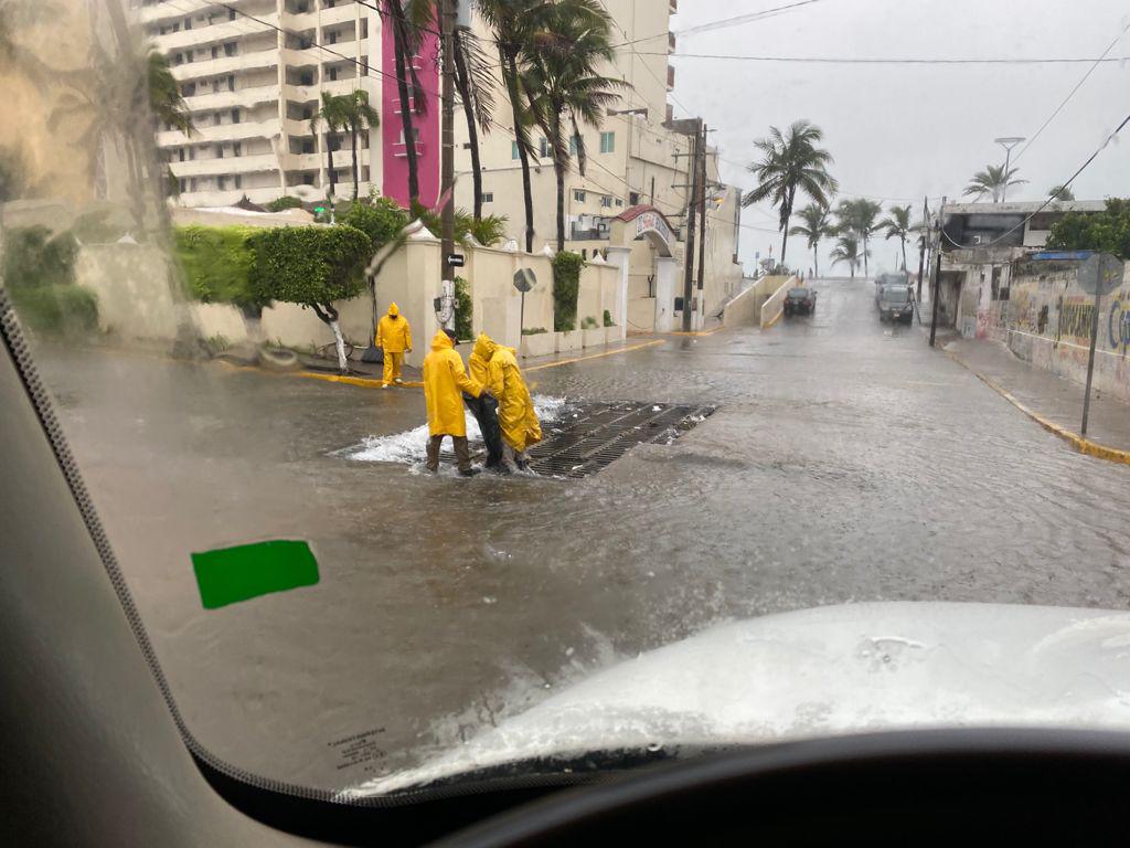 $!Caen en Mazatlán 100 árboles por las lluvias