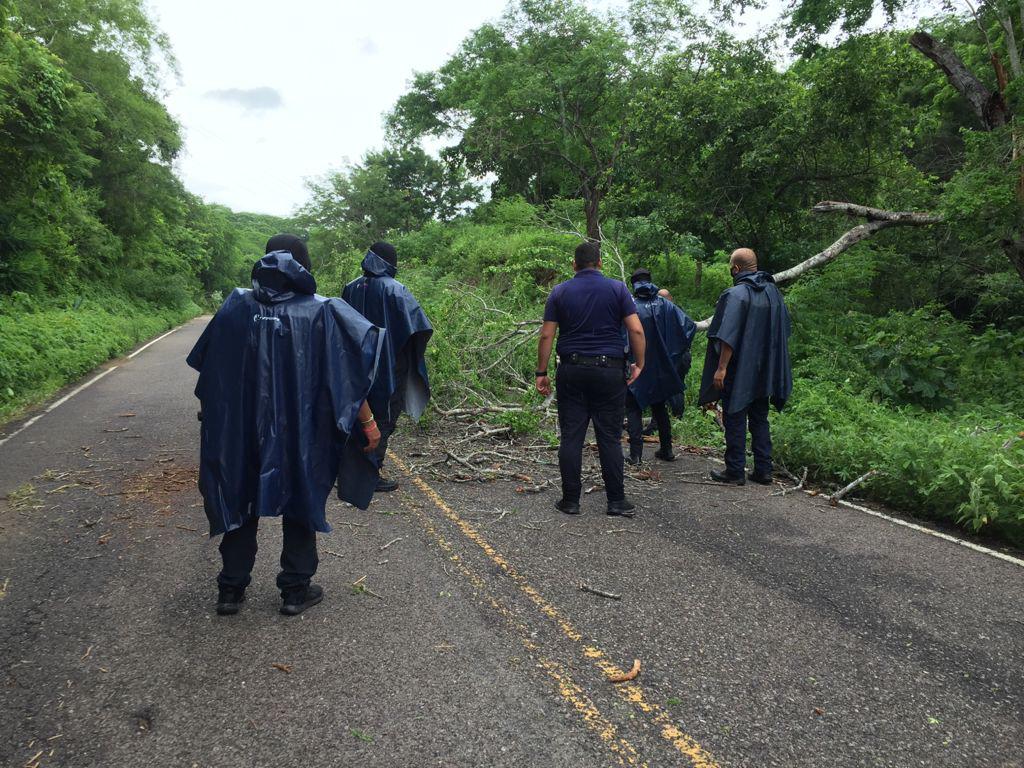 $!Incomunicados, 15 pueblos de Mazatlán por las lluvias de ‘Nora’