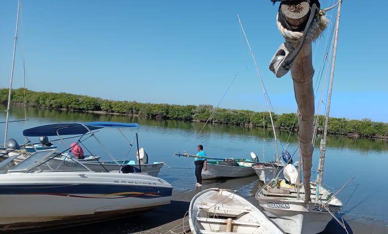 Tras término de vedas, pescadores en Sinaloa reportan baja producción de jaiba, tiburón y mantarraya