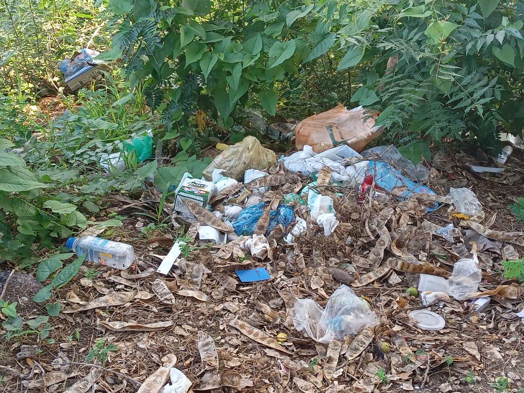 $!Lluvias arrastran basura a la Laguna del Iguanero, en Rosario