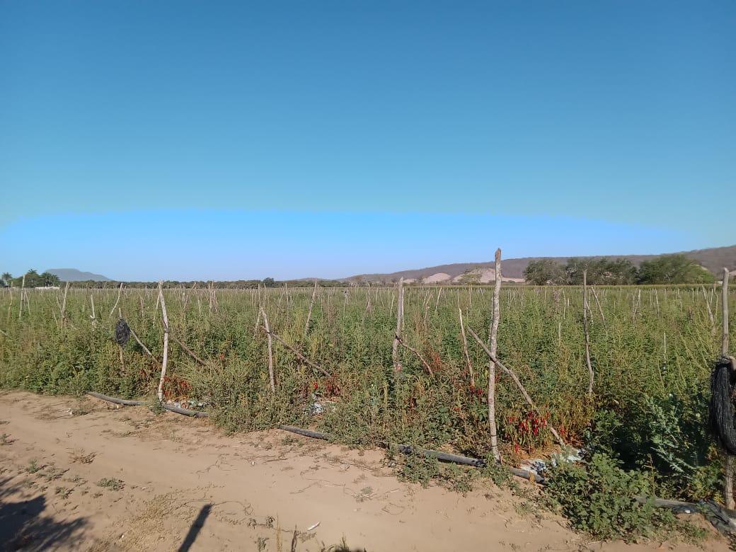 $!Para que quede al 100% por ciento los canales de riego requerirá de un proceso largo: AARB