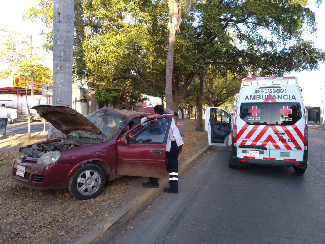 $!Joven choca contra palmera en la Colonia Las Quintas, en Culiacán