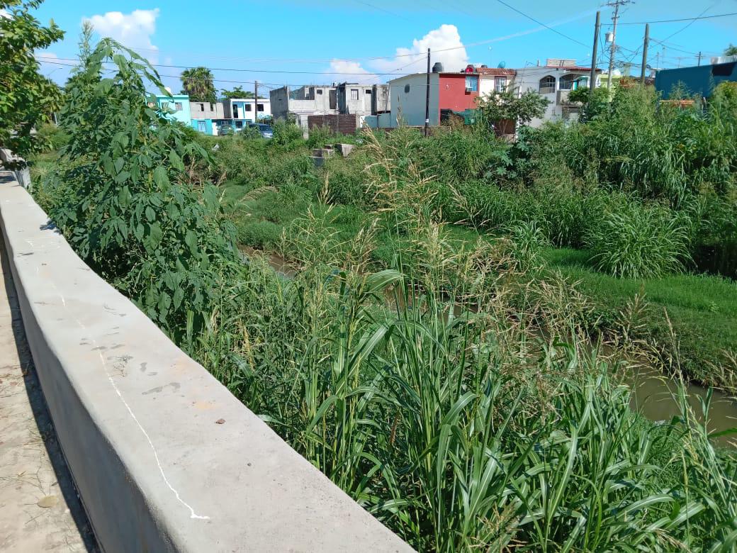 $!Llaman a limpiar urgente el arroyo Jabalines; temen inundarse con ‘Orlene’ en La Foresta