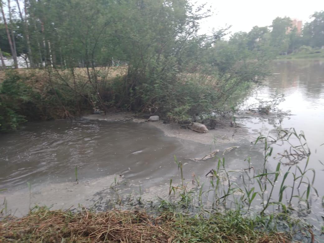 $!Denuncian brote de aguas negras que desembocan en el río Tamazula, en Culiacán
