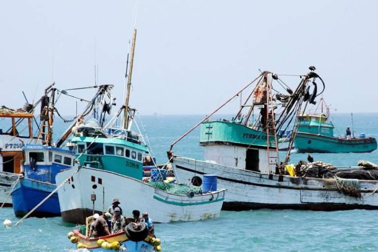 Expertos desarman los argumentos de la industria pesquera contra la firma del Tratado de Alta Mar